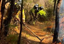 Controla incendio forestal en Momostenango Totonicapan