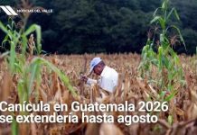 Canícula en Guatemala 2026 podría prolongarse hasta agosto
