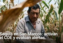 Sequía en San Marcos: dos comunas activan su respuesta de emergencia y preparan la declaratoria de alerta institucional